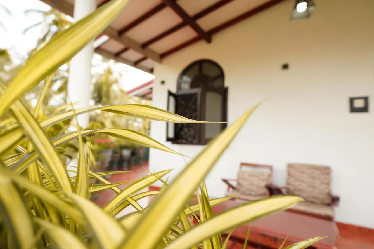 Lilly Palace Villa Guest House Νεγκόμπο Σρι Λάνκα